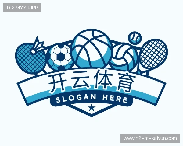 介绍开云体育在线app